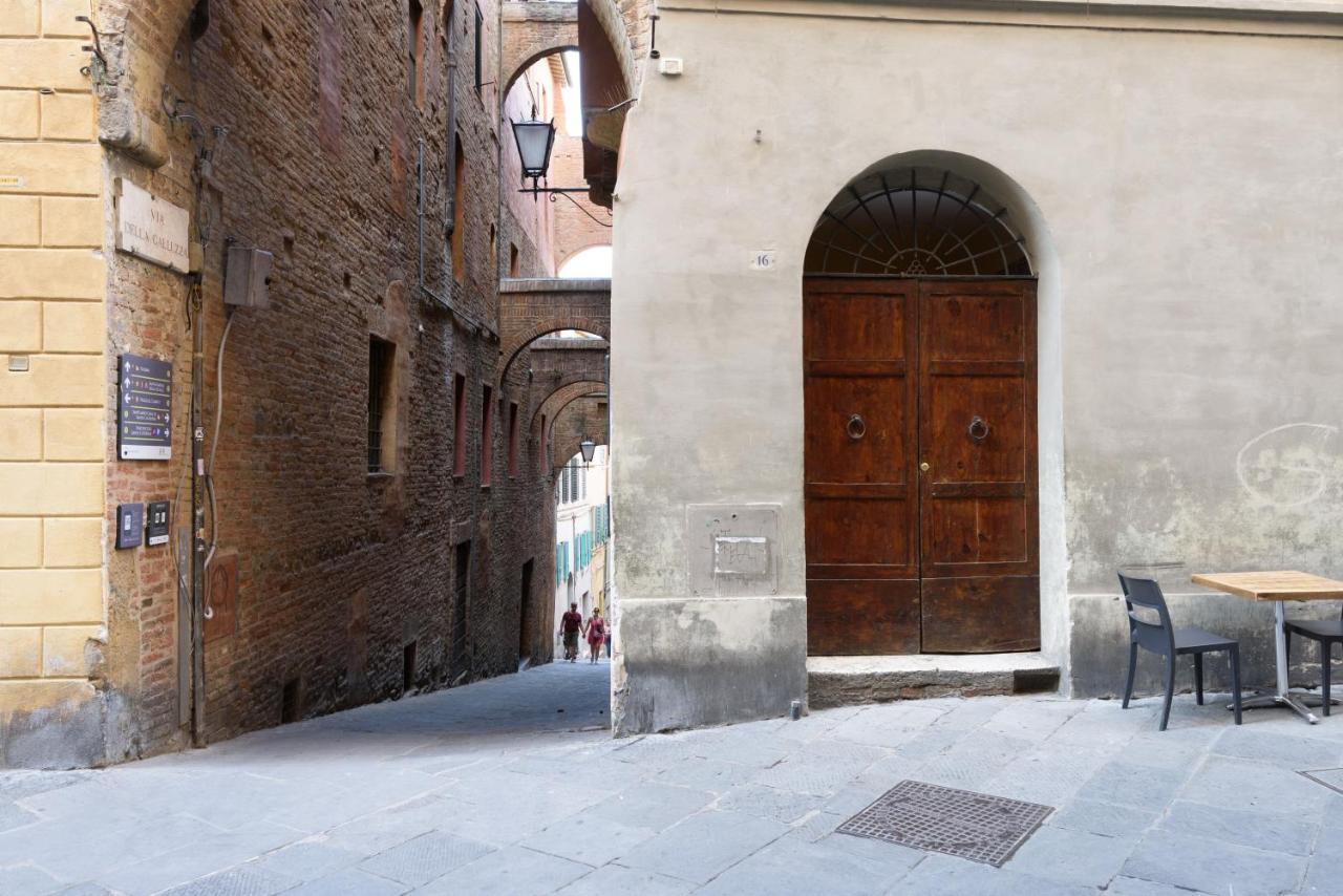 L'Azure Di Siena Daire Dış mekan fotoğraf
